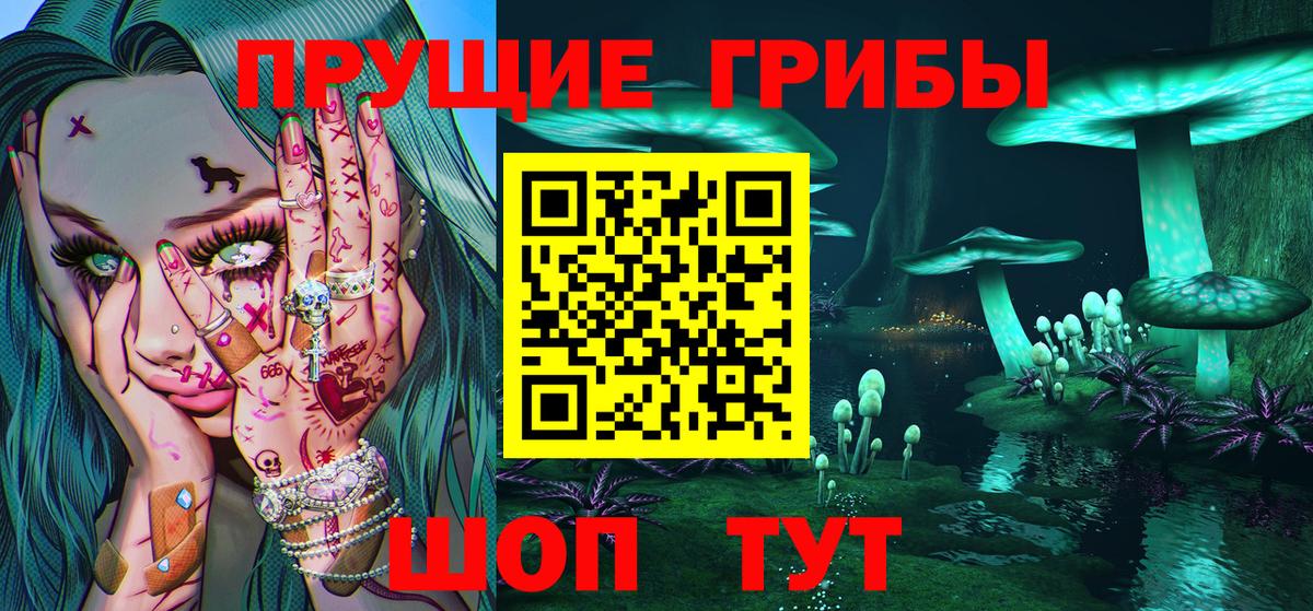 Псилоцибиновые грибы GOLDEN TEACHER  Вход с VPN  Галлюциногенные грибы Psilocybe  Елец 